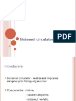 Sistemul Circulator