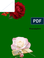 Trandafir i