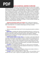 Recoltarea, uscarea si pastrarea  plantelor medicinale