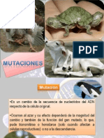 Mutaciones