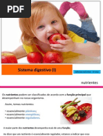 Sistema Digestivo9c