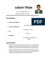 Curriculum Vitae Mario Salas Norte
