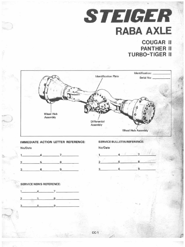 Raba K598 Axle Service Manual PDF