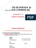 C05_06_Teoria literaturii_2011