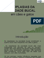 Neoplasias Na Cavidade Bucal