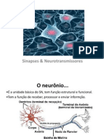 Sinapses & Neurotransmissores