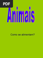Alimentação animais