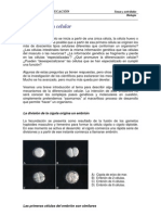 6-3S-Diferenciación celular.pdf
