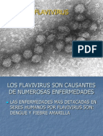 Flav I Virus