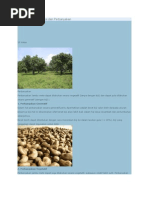 Download Jambu Mete by murtajih SN150966334 doc pdf