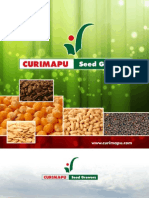 Folleto Curimapu