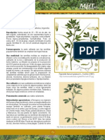 Fenogreco PDF