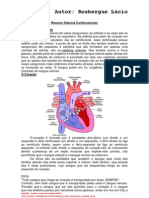 Resumosistemacardiovascular 130408233824 Phpapp01