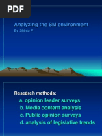 Analyzing The SM Environment by Shinta P