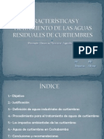 27904405 Tratamiento de Aguas en Curtiembres Impacto Ambiental