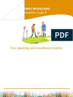 Tree Planting and Woodland Creation