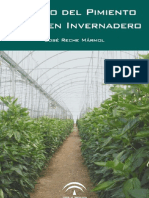 Cultivo Del Pimiento en Invernadero