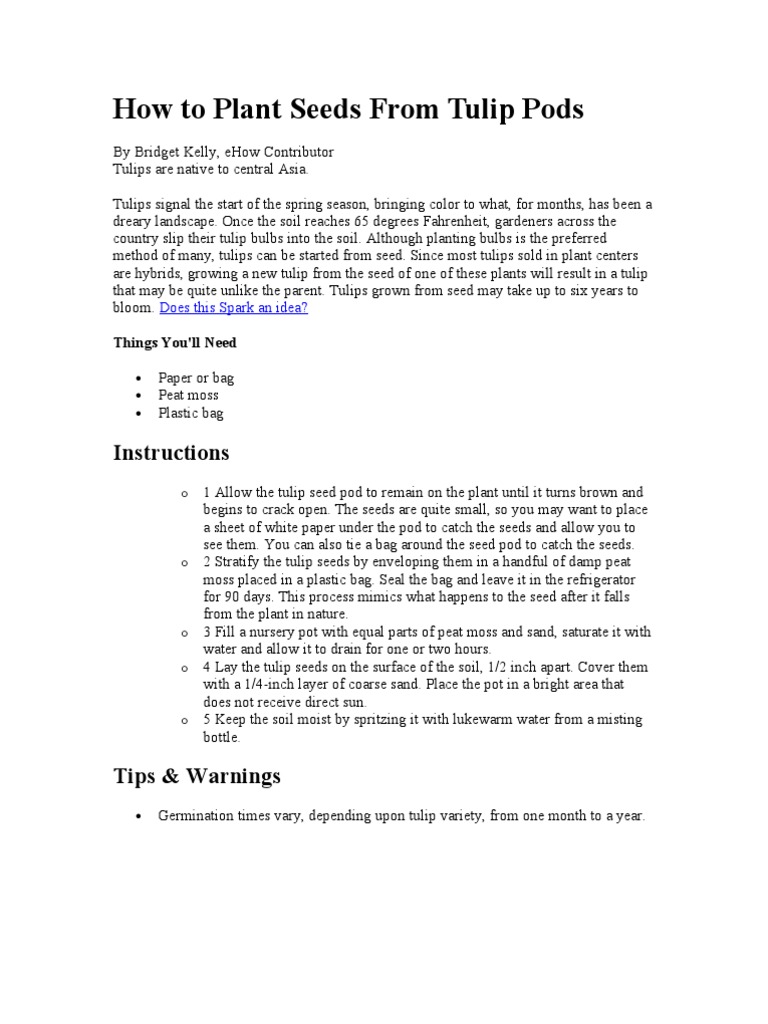 How to Grow Your Own Tulips from Seed A StepbyStep Guide to Planting
