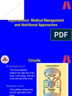 Hypertension: Medical Management and Nutritional Approaches