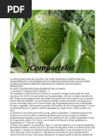 Fruta Que Destruye El Cancer