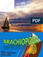 Brachiopoda, Bismillah. . .