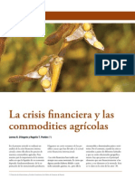 17 D Angelo La crisis financiera y las commodities agrícolas
