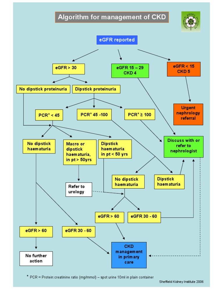 CKD Management Algorithm Guide | PDF