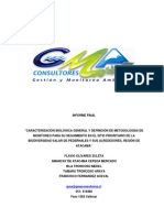 Informe Final Salar de Pedernales PDF