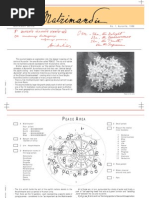 Matrimandir Issue 1