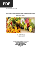 Download Penggunaan Formalin Pada Produk Pangan by Vicha ChubbyMnizt Lamoki SN151132562 doc pdf
