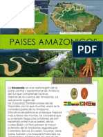 Paises Amazonicos