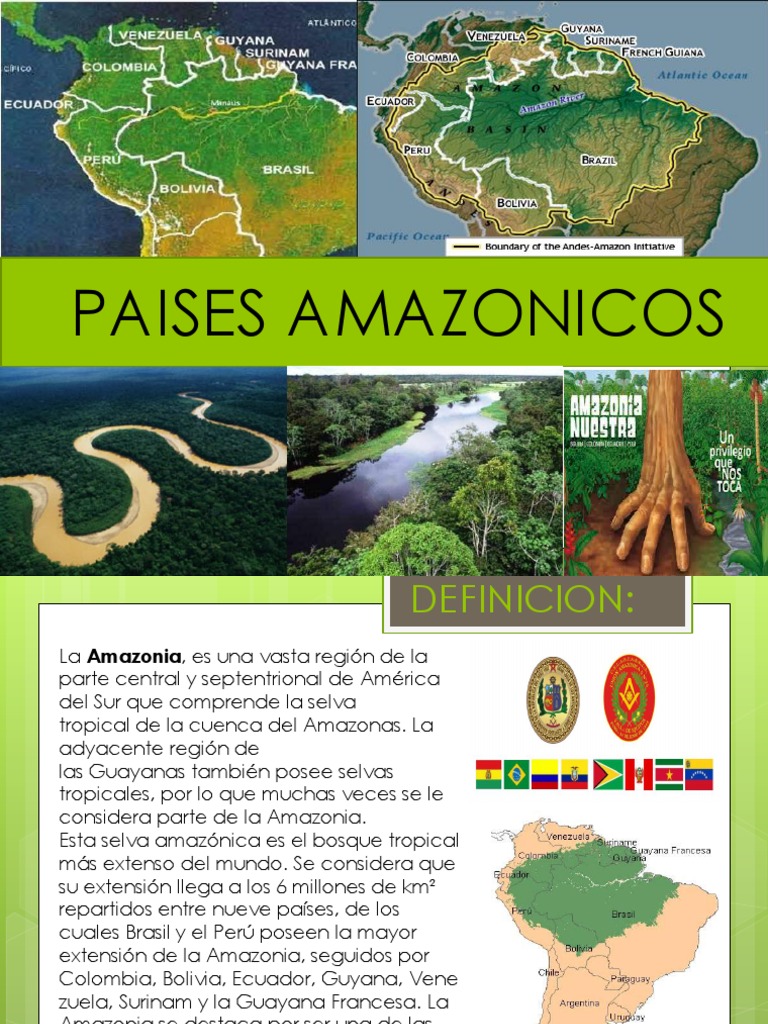 Países de la Amazonia y su biodiversidad | PDF | Selva amazónica ...