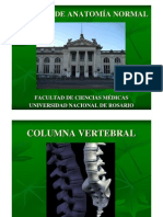 02 Columna Vertebral