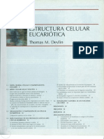 Bioquímica Tema 01 Estructura Celular Eucariótica