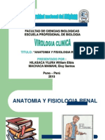 Fisiologia Renal Exposicion