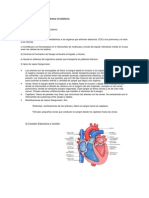 Guía de Estudio Biología Sistema Circulatorio