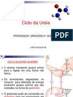 Ciclo Da Uréia