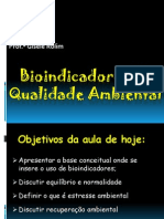 Bioindicadores de Qualidade Ambiental I - Aula I