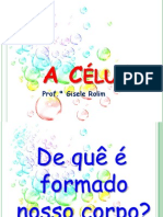 A Célula - 7ª série