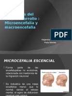 Microy Macroencefalia
