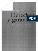 Derechos y Garantías-060509