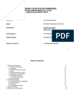 Informe Del Mercado Formulacion PDF