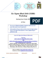 CSSBB Guide PDF