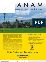 Panam: Bermudagrass Seed Blend