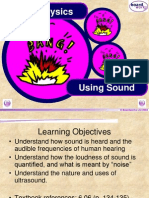 Using Sound - Student Version CIE