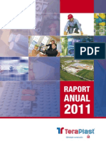 Raport Anual 2011