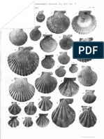 Fauna Malacologica Mariana, Cerulli-Irelli BIVALVIA - Paleontologia Malacologia - Conchiglie Fossili Del Pliocene e Pleistocene