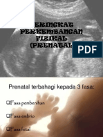 4 A Prenatal