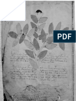 Anon - El Manuscrito Voynich