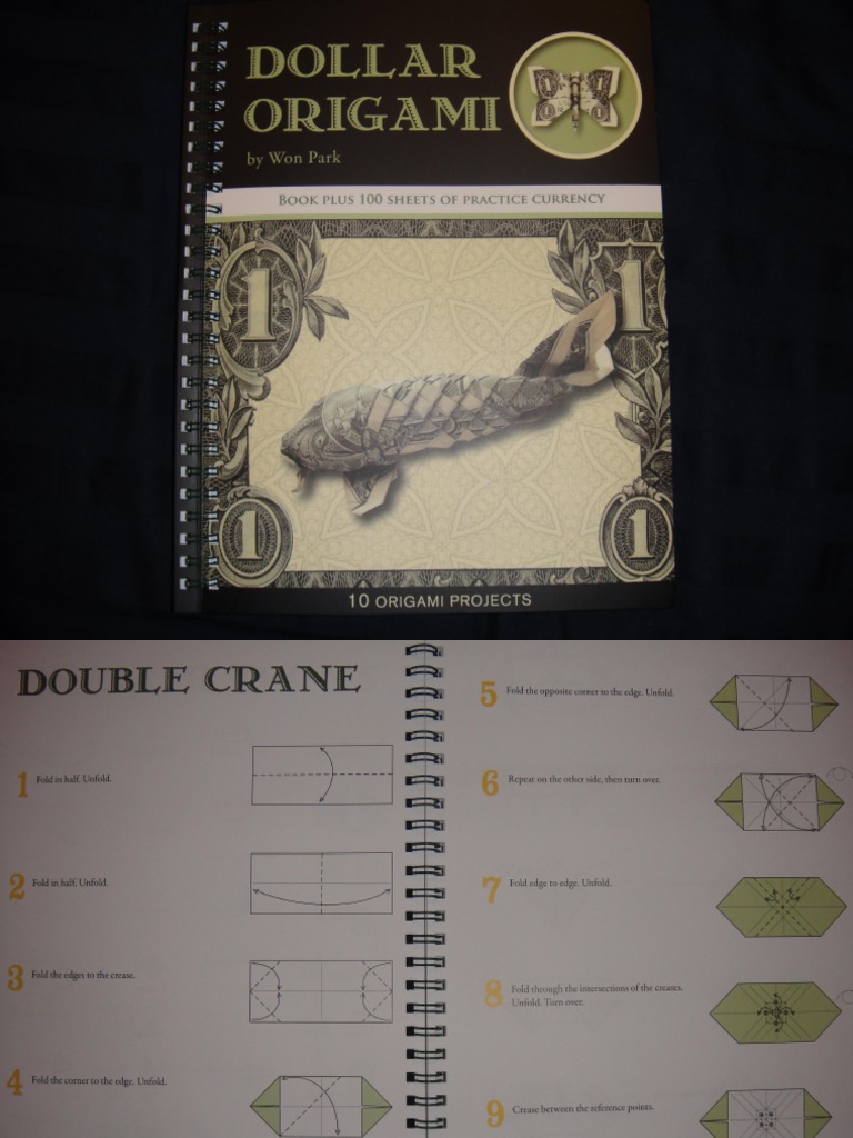 Origami Koi Fish with Morre Thanone Dollar Dollar Bill Tutorial | TikTok, image size:768x1024